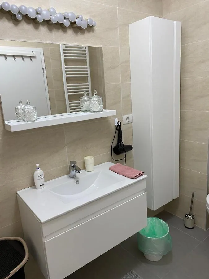 Apartmán Strada Smaranda Braescu Bukurešť