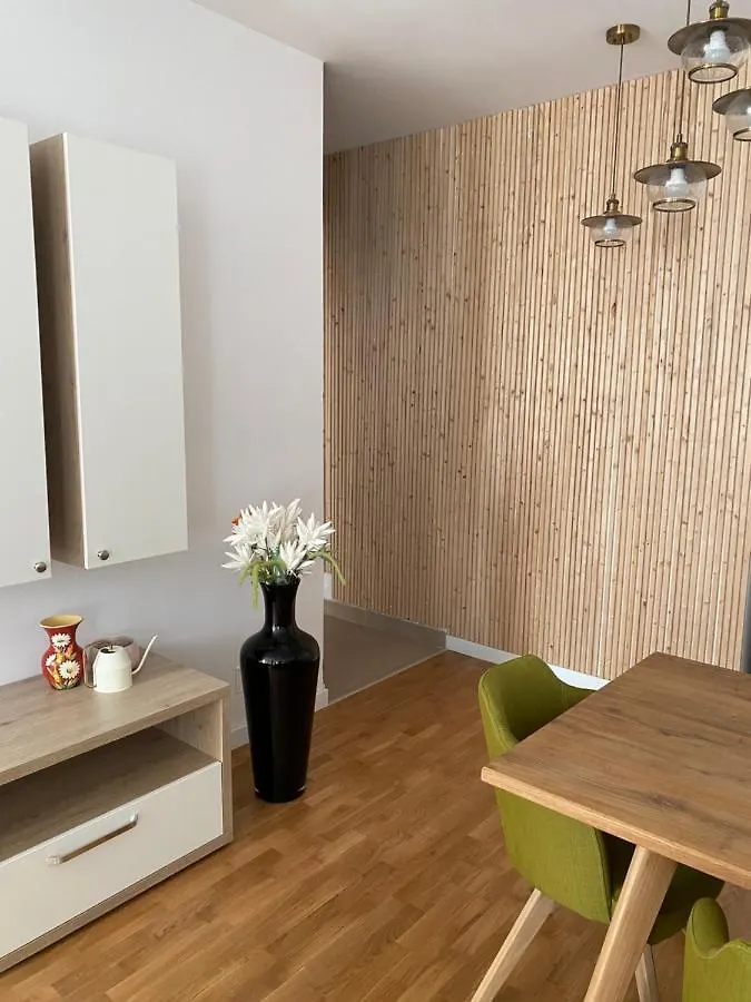 Apartmán Strada Smaranda Braescu Bukurešť