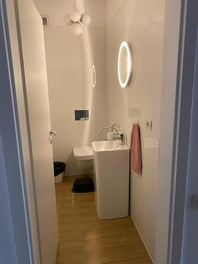 Apartmán Strada Smaranda Braescu Bukurešť 0*,