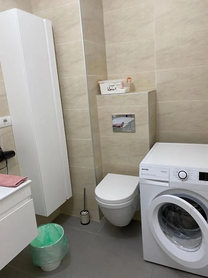 Apartmán Strada Smaranda Braescu Bukurešť