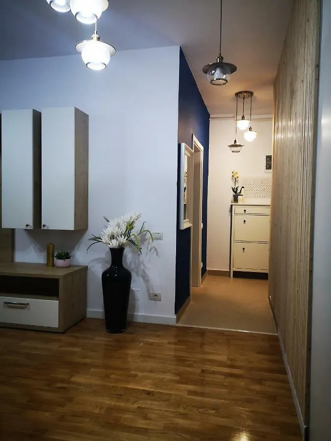 Apartmán Strada Smaranda Braescu Bukurešť