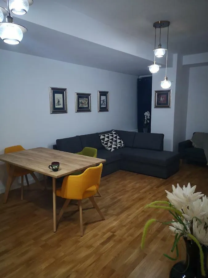 Apartmán Strada Smaranda Braescu Bukurešť