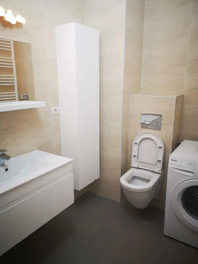 Apartmán Strada Smaranda Braescu Bukurešť
