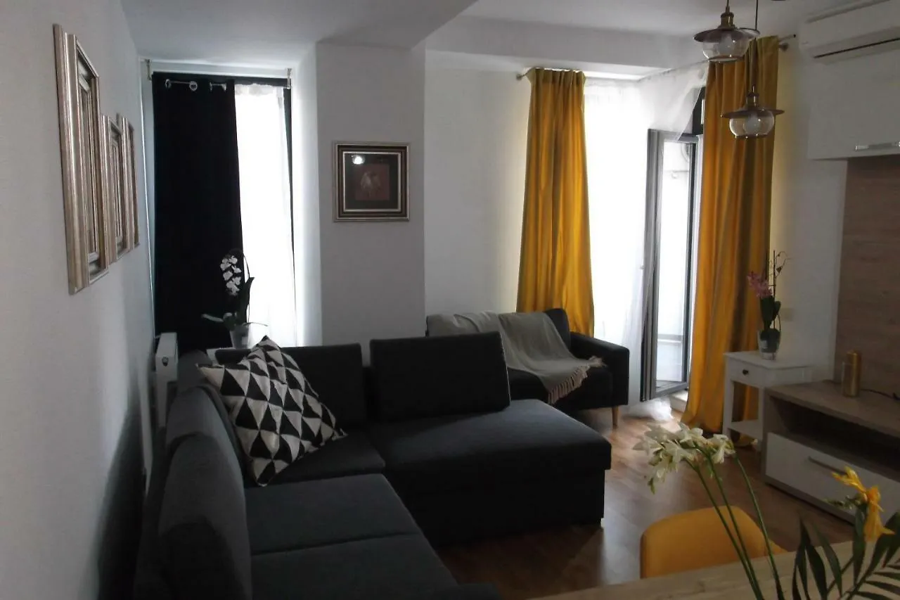 Apartmán Strada Smaranda Braescu Bukurešť