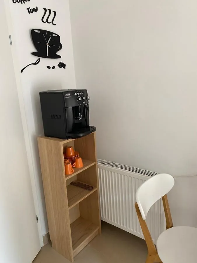 Strada Smaranda Braescu Apartment Bucharest Romania